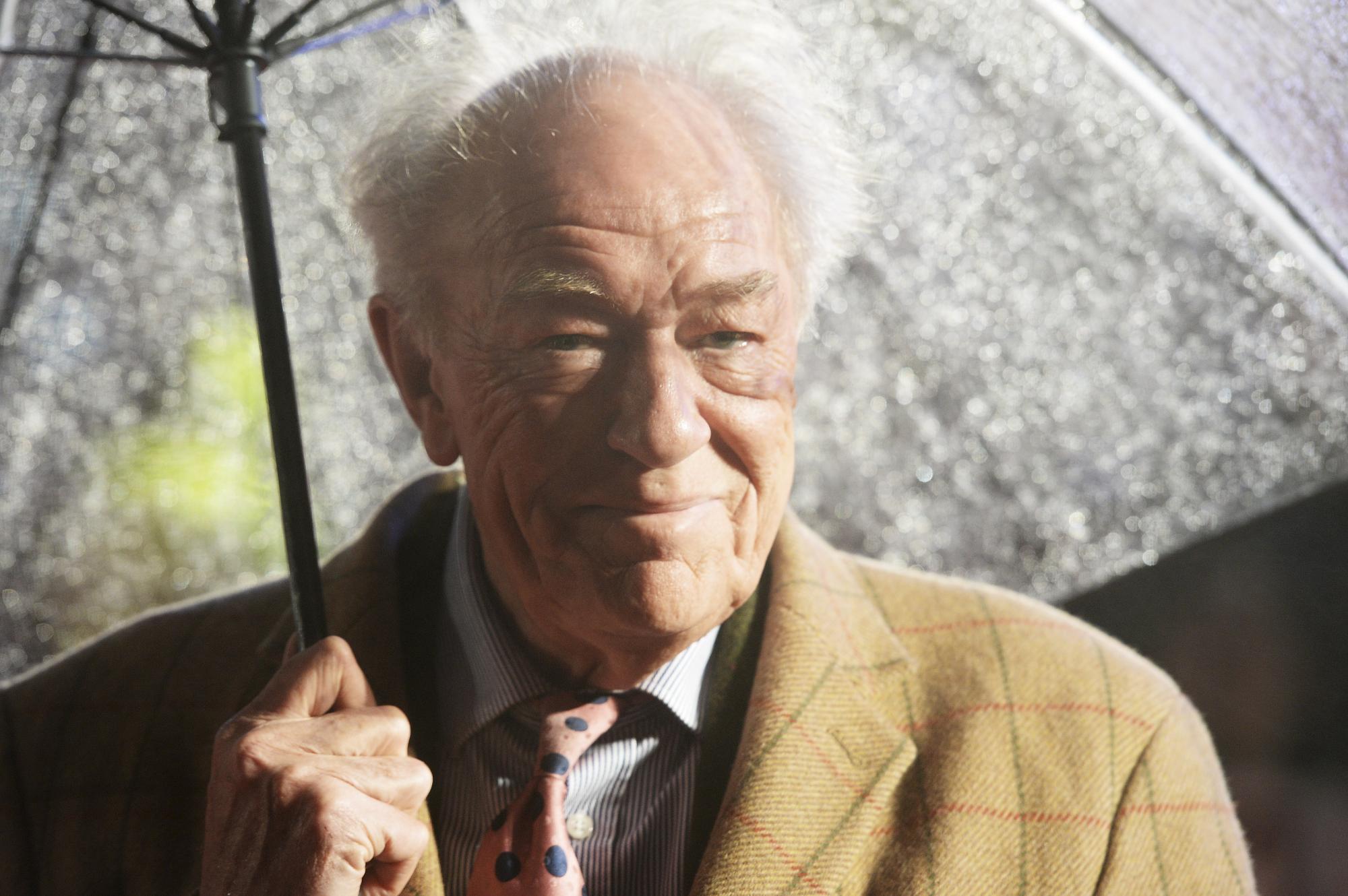 20 років потому: як сьогодні виглядають і чим займаються актори &quot;Гаррі Поттера&quot;